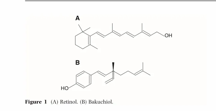 Bakuchiol with Retinol.png