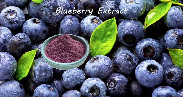 Blueberry Extract.png