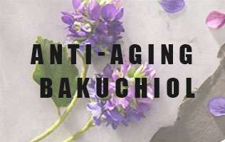 Anti-aging new star-Bakuchiol