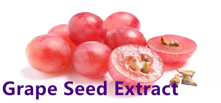 "Anti-aging secrets | Highly effective grape seed extract"
