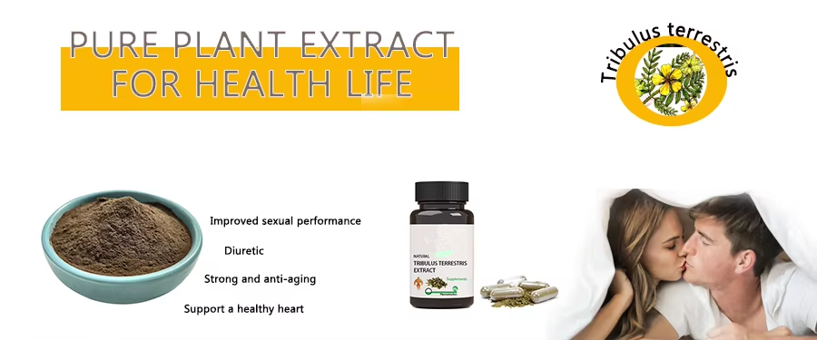 Tribulus Terrestris Extract: The Herbal Supplement Revolutionizing Health and Fitness
