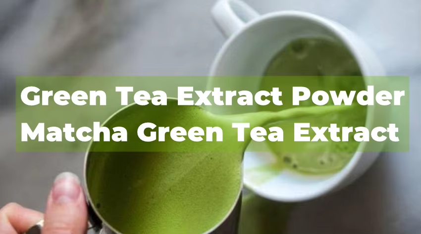 Matcha Powder: The Superfood Taking the Health World by Storm