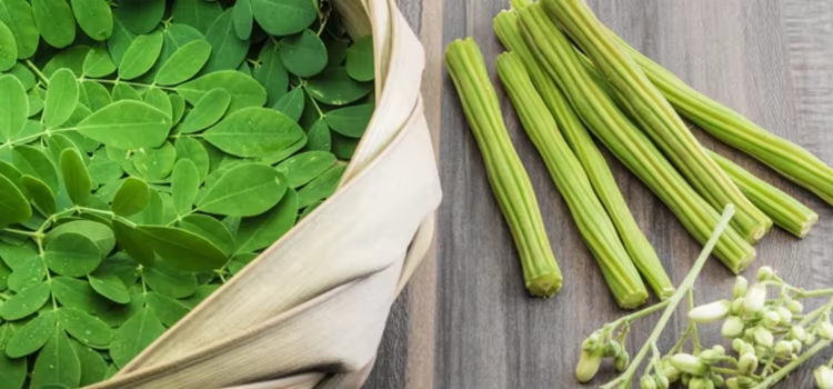 Moringa Leaf Extract: The Next Big Thing in Health Supplements