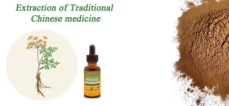 Angelica Sinensis Extract: The New Powerhouse in Herbal Medicine