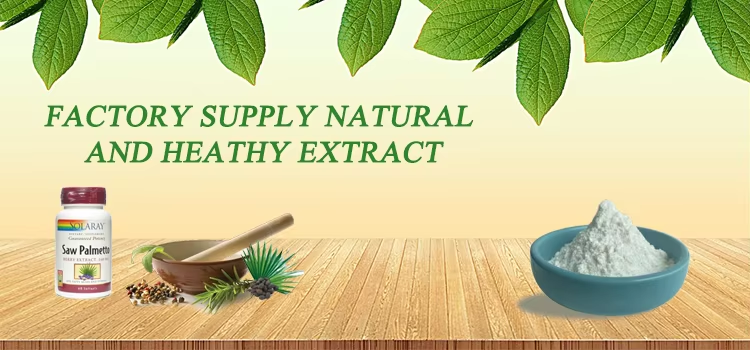 Saw Palmetto Fruit Extract