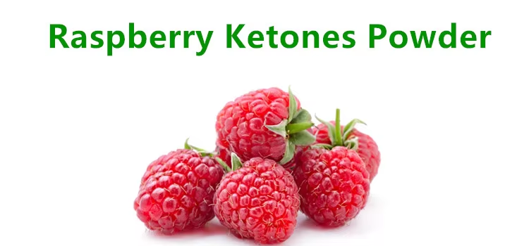 Raspberry Ketone Powder for Weight Loss and Health