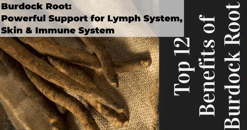 Burdock Root Extract: A Natural Remedy for Health and Wellness