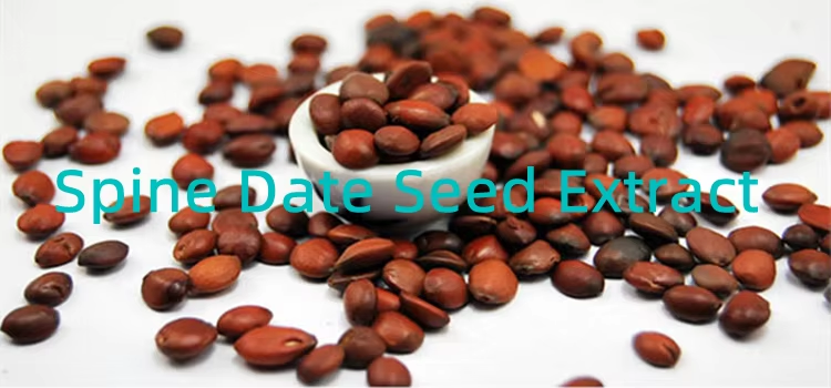 The Rising Popularity of Spine Date Seed Extract in the Wellness Industry