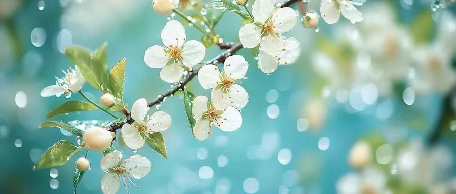HongKangBio-Qingming Festival Holiday Notice