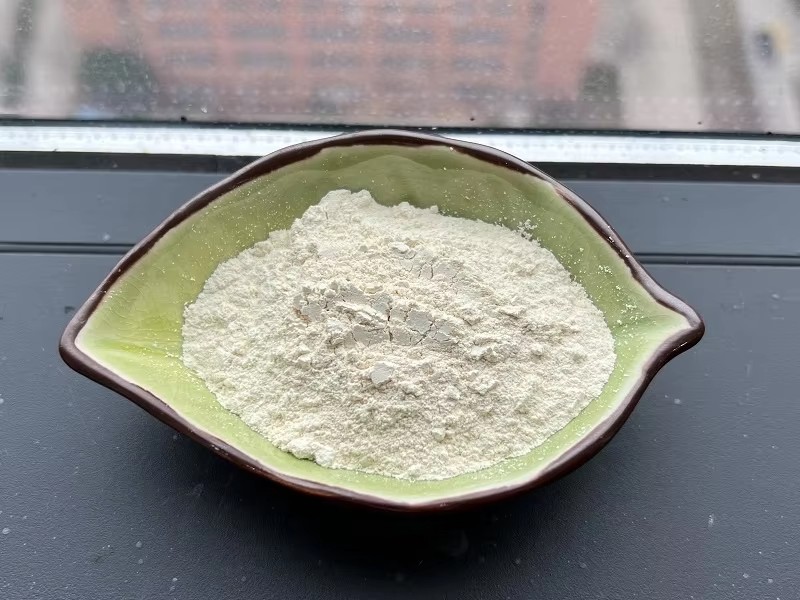 鞣花酸98%.jpg