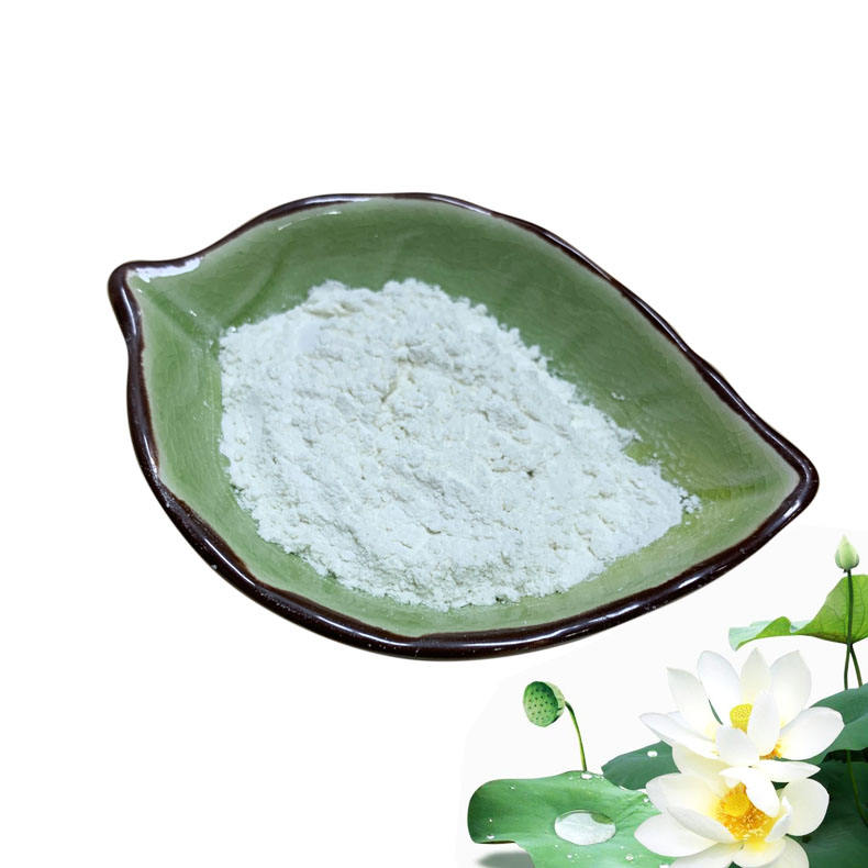 Nuciferine Water-soluble Nuciferine 10% For Loosing Weight