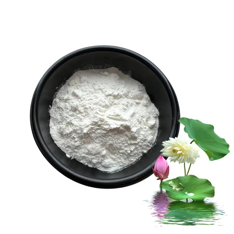 Water Soluble Lotus Leaf Extract 5% Cosmetic Grade Moisturizing And Oil Control