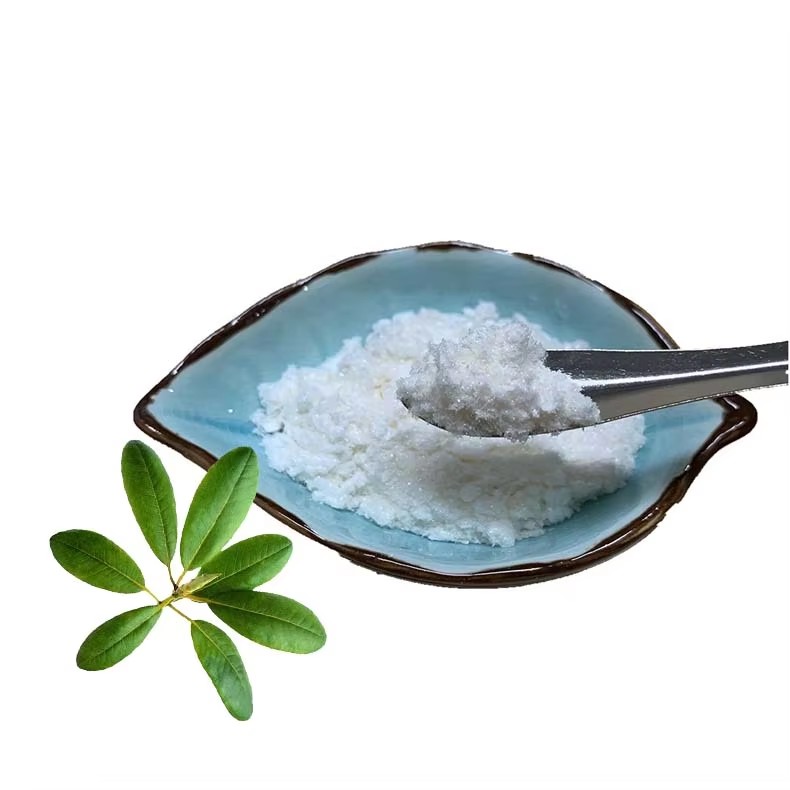 Ursolic Acid 80% Supply High Quality Loquat Leaf Extract