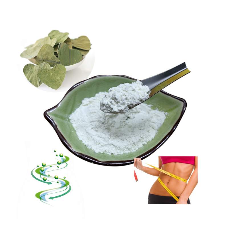 Nuciferine 98% Loss Weight Product Lotus Leaf Extract Nuciferine