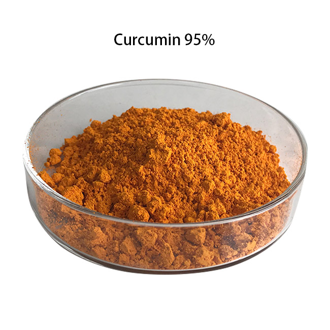 Curcumin 95% Extract Powder Bulk Supplier Natural Turmeric Extract